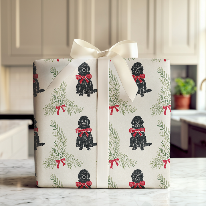 Merry and Newfoundland