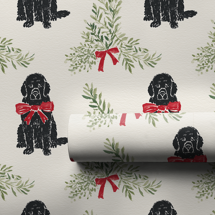 Merry and Newfoundland