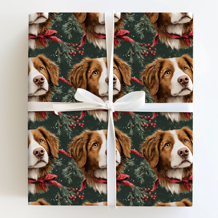 Evergreen Toller