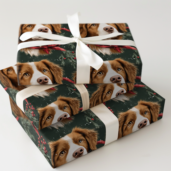 Evergreen Toller