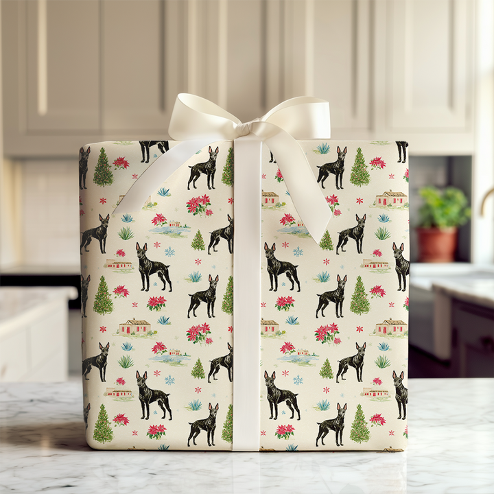 Xolo Christmastime