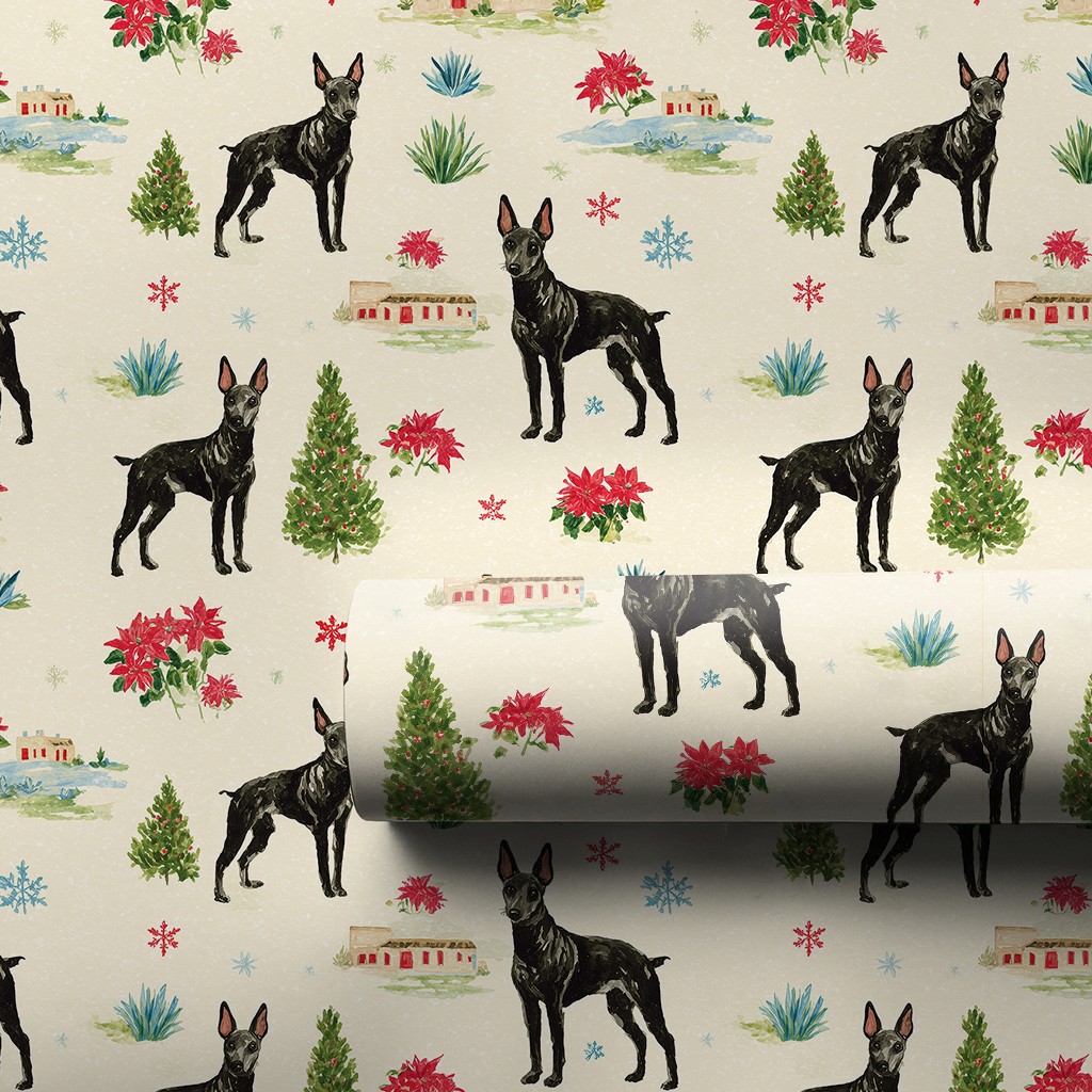Xolo Christmastime