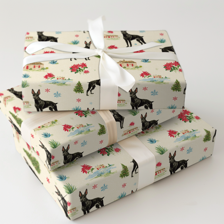 Xolo Christmastime