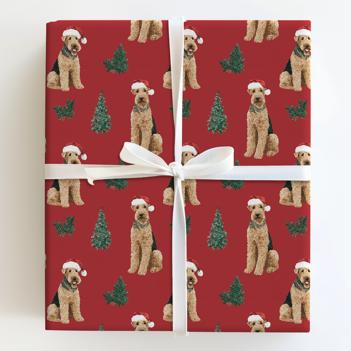 Airedale Claus