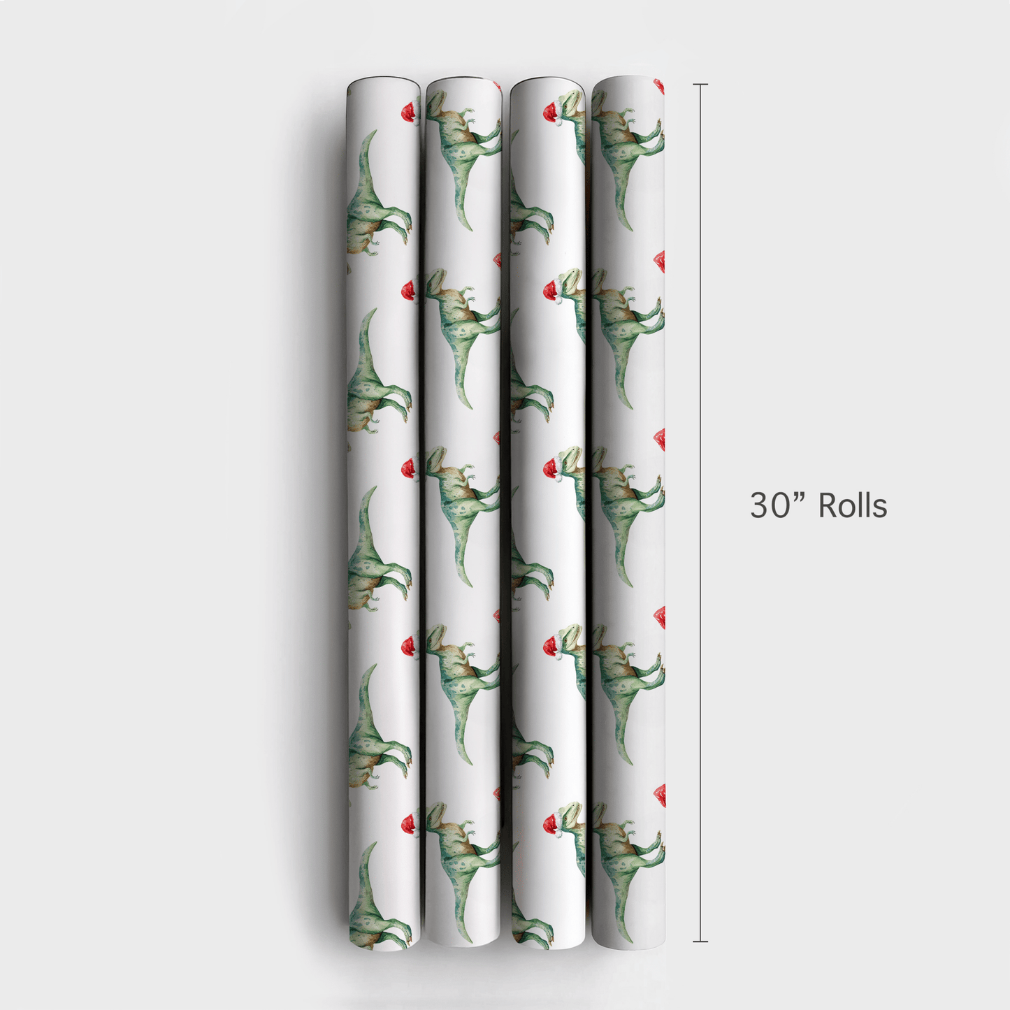 Raptor Wrapped - Wrapping Paper - Aspen & Arlo