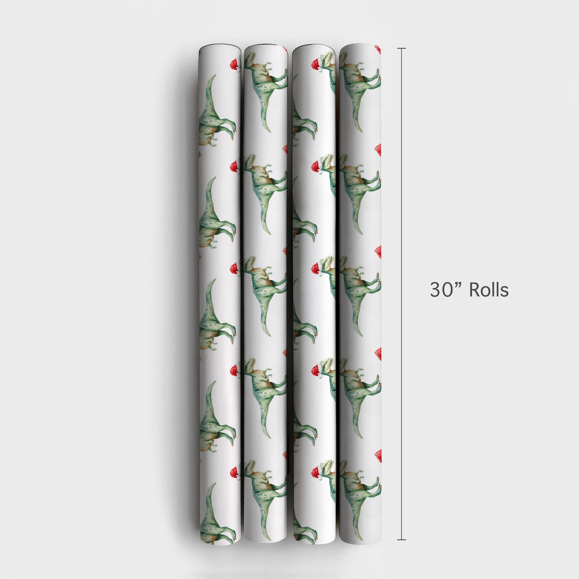 Raptor Wrapped - Wrapping Paper - Aspen & Arlo