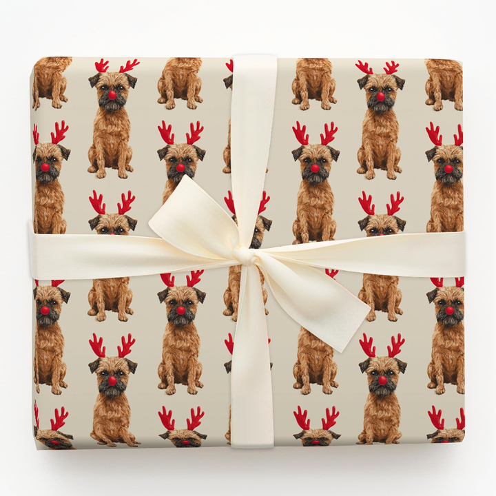 Rudolph the Brussels Griffon