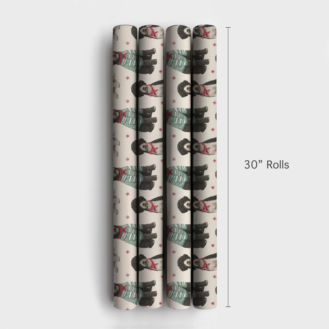 Best Dressed Lagottos