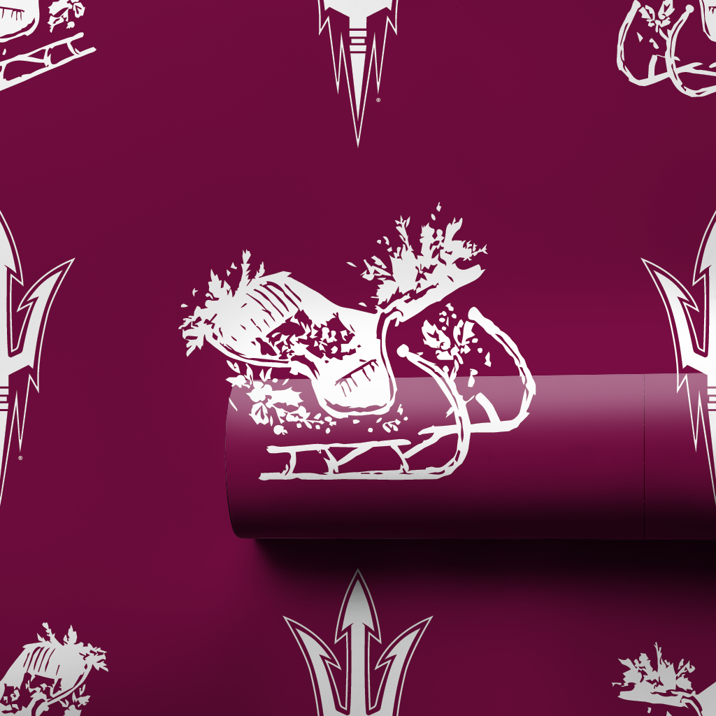 Sleigh ASU