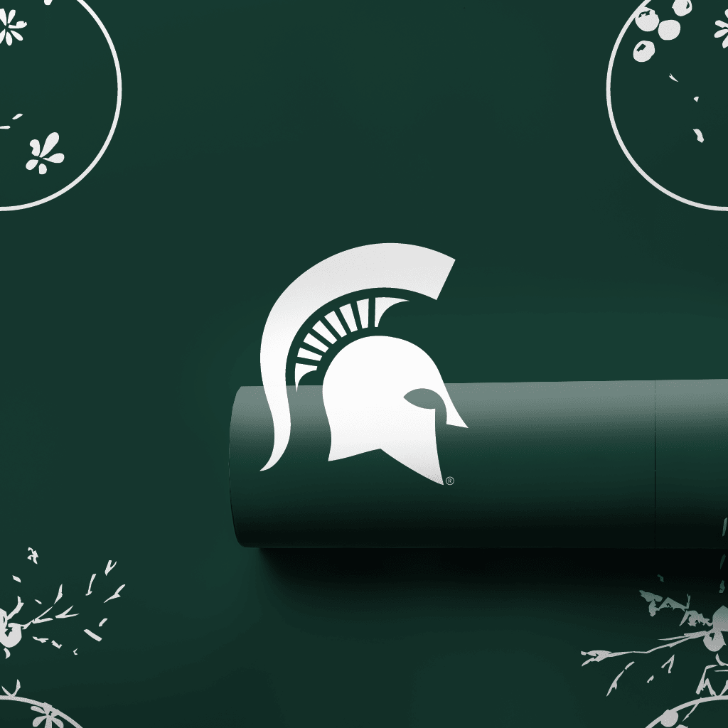 MSU Ornament - Wrapping Paper - Aspen & Arlo