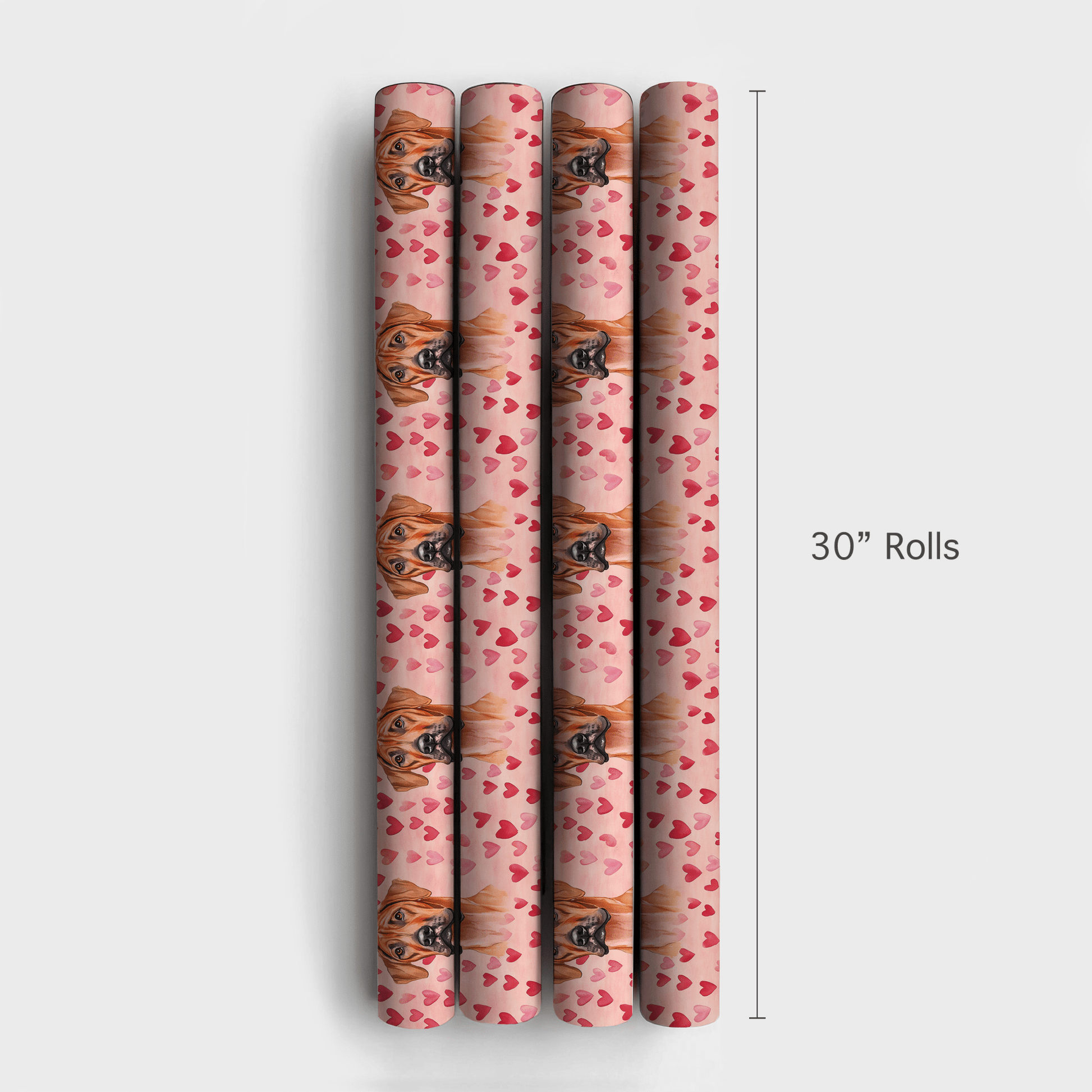 Rhodesian Ridgeback Valentine - Wrapping Paper - Aspen & Arlo