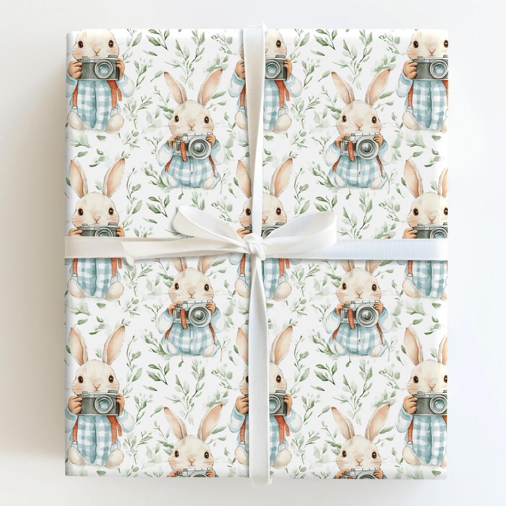 Fluffy Frames - Wrapping Paper - Aspen & Arlo