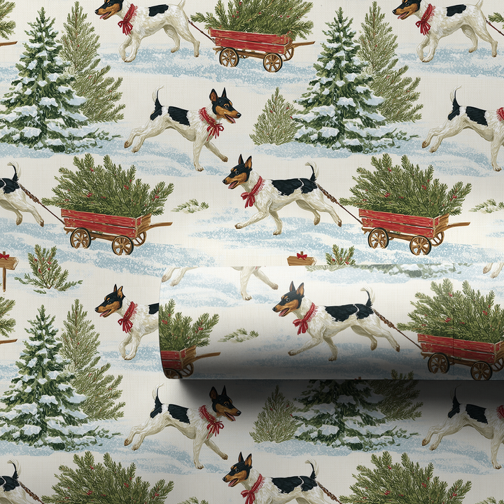 Rat Terrier Tree Farm