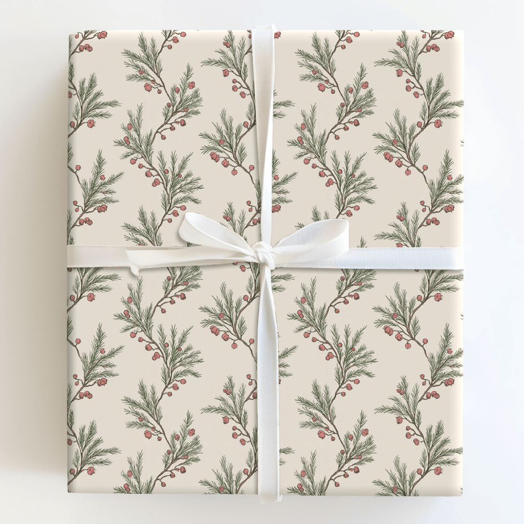 Cedar Sprig - Wrapping Paper - Aspen & Arlo