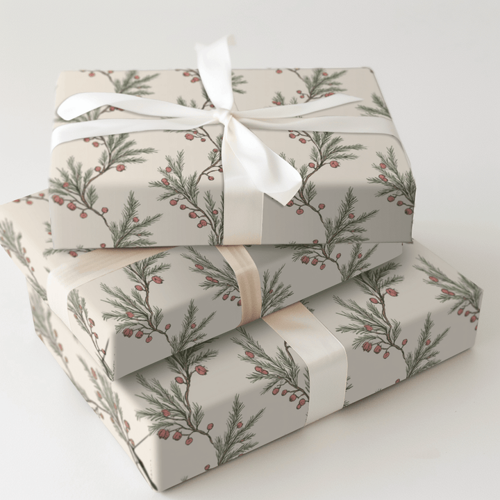 Cedar Sprig - Wrapping Paper - Aspen & Arlo