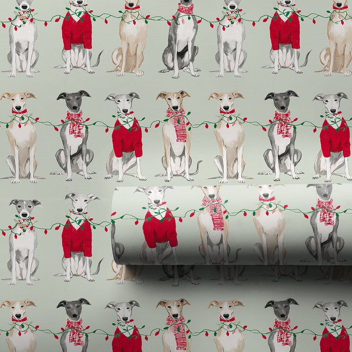 Greyhound Glow