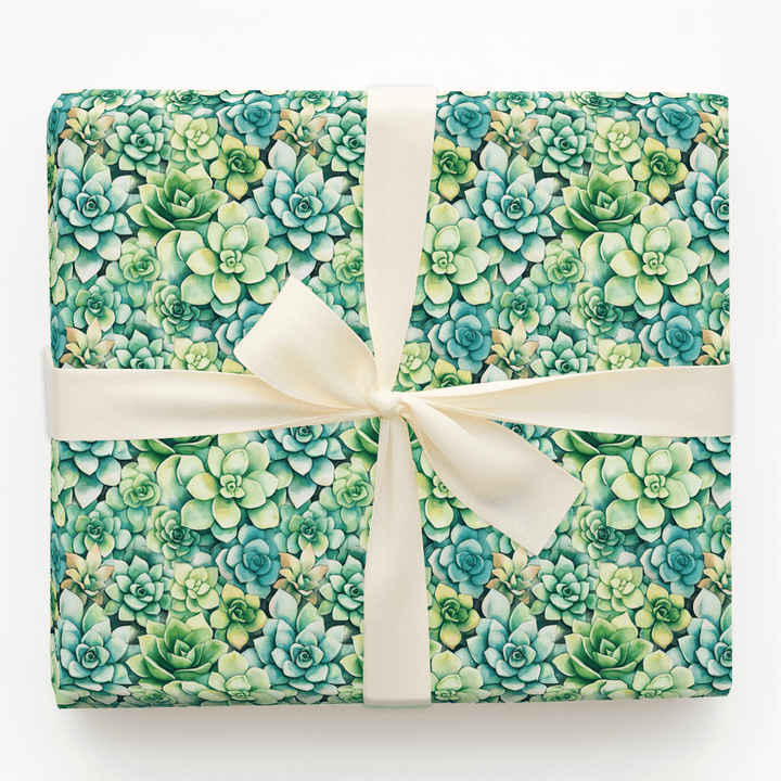Echeveria Elegance - Wrapping Paper - Aspen & Arlo