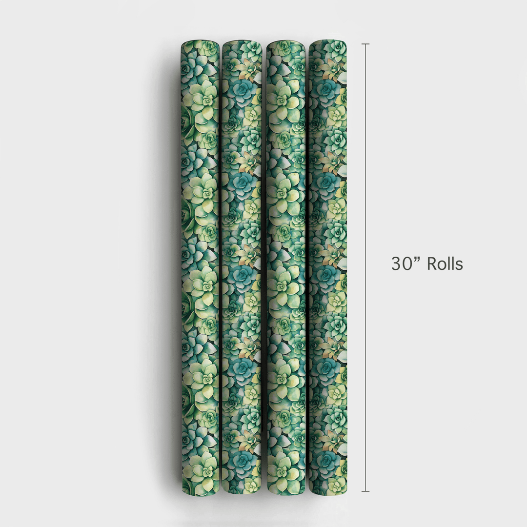 Echeveria Elegance - Wrapping Paper - Aspen & Arlo