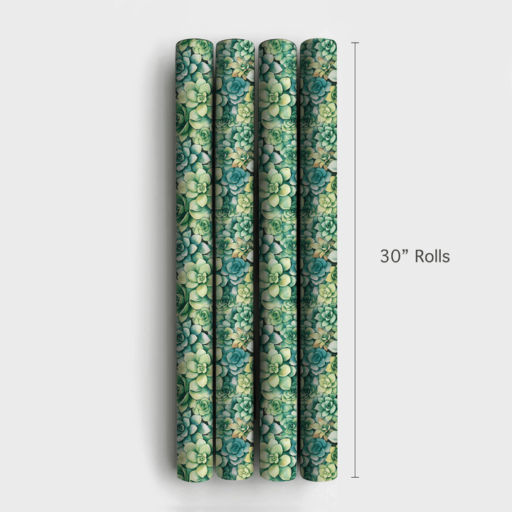 Echeveria Elegance - Wrapping Paper - Aspen & Arlo