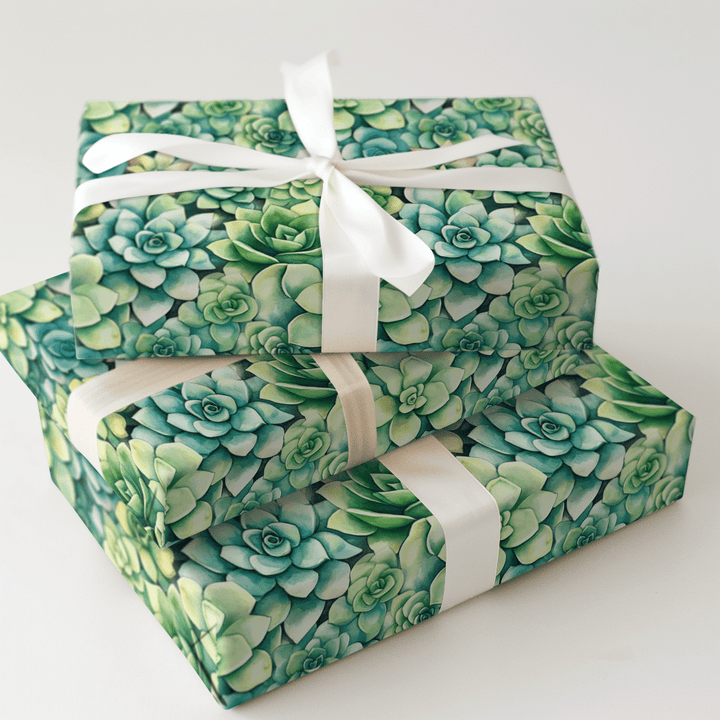 Echeveria Elegance - Wrapping Paper - Aspen & Arlo