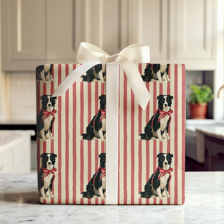 Border Collie Christmas Stripes