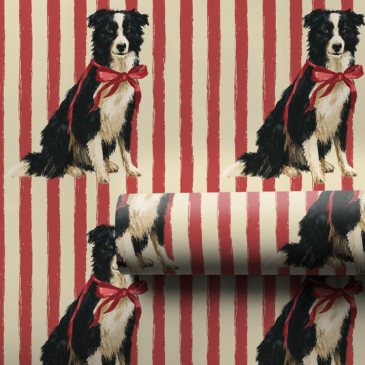Border Collie Christmas Stripes