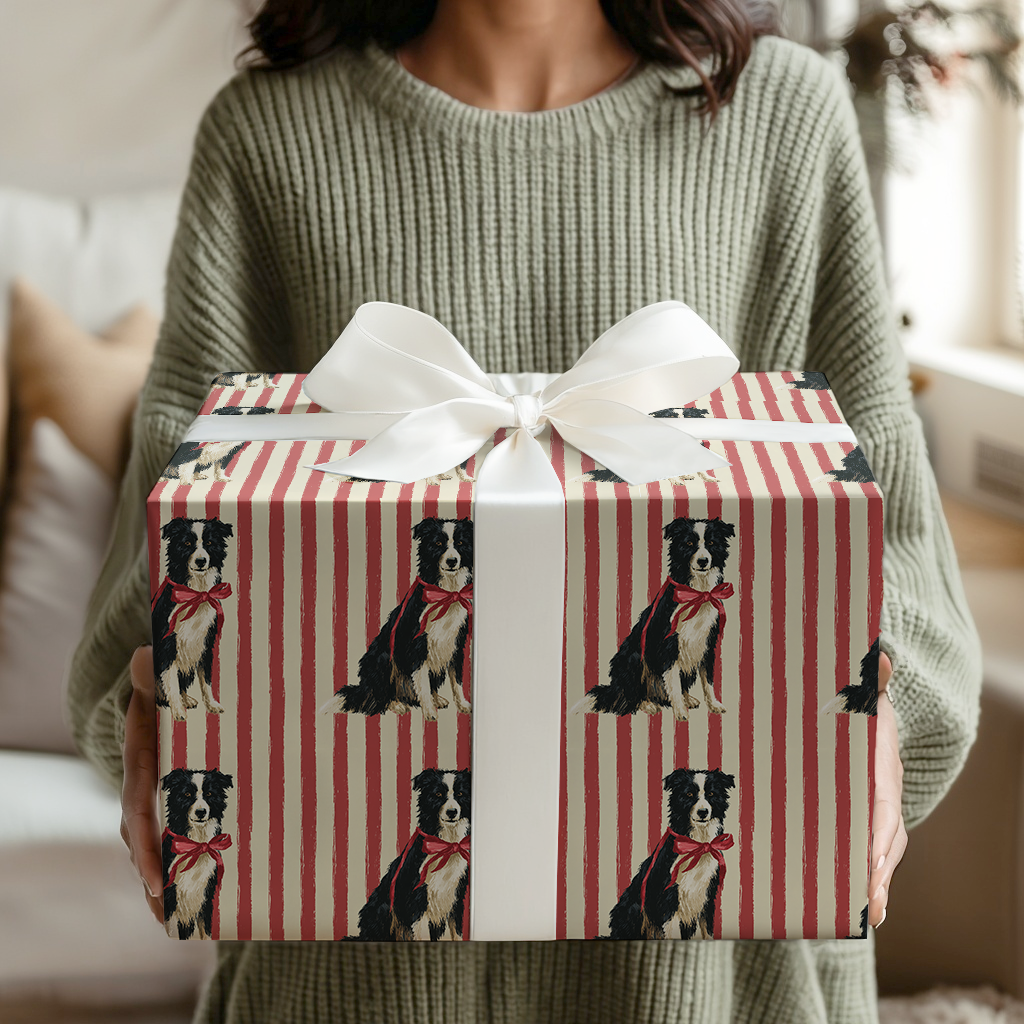 Border Collie Christmas Stripes