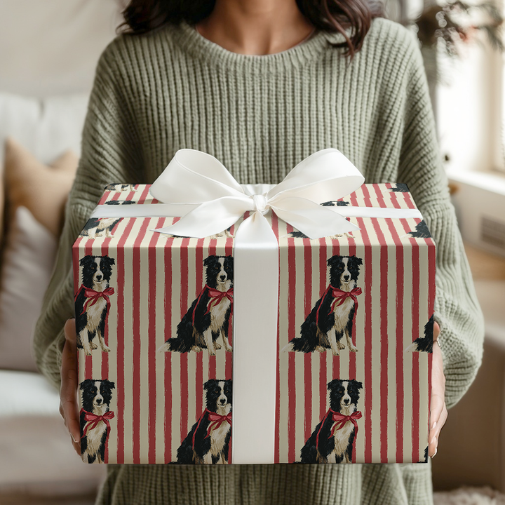 Border Collie Christmas Stripes