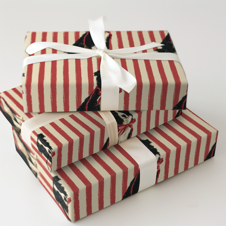 Border Collie Christmas Stripes
