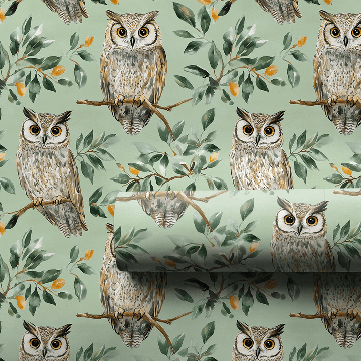 Owl Day Every Day - Wrapping Paper - Aspen & Arlo