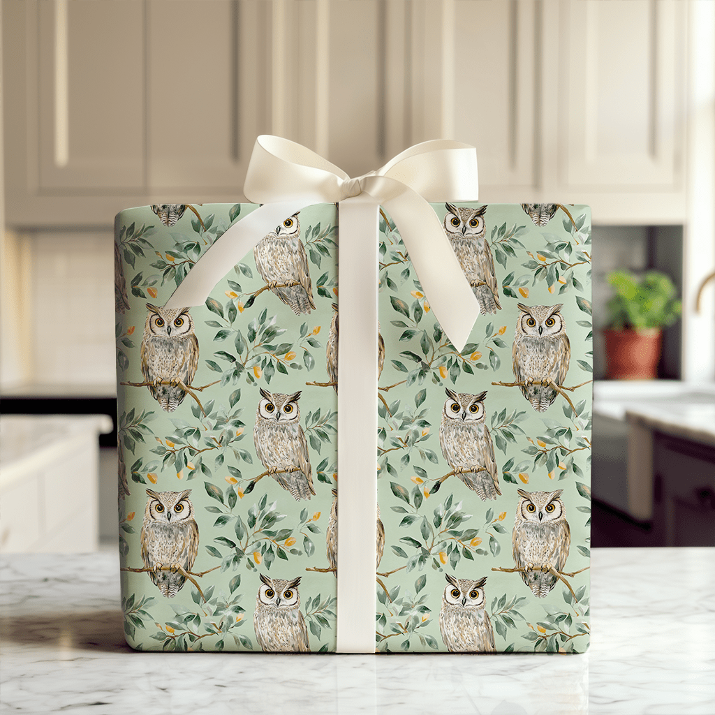 Owl Day Every Day - Wrapping Paper - Aspen & Arlo