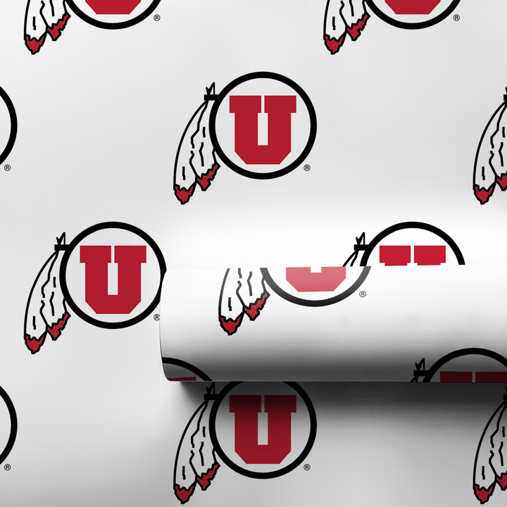 Feathered Pride - Wrapping Paper - Aspen & Arlo