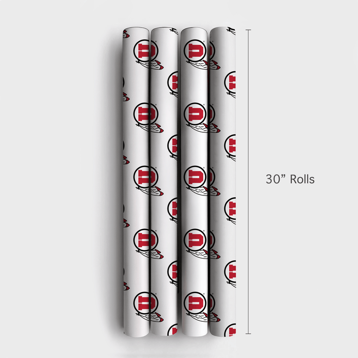 Feathered Pride - Wrapping Paper - Aspen & Arlo