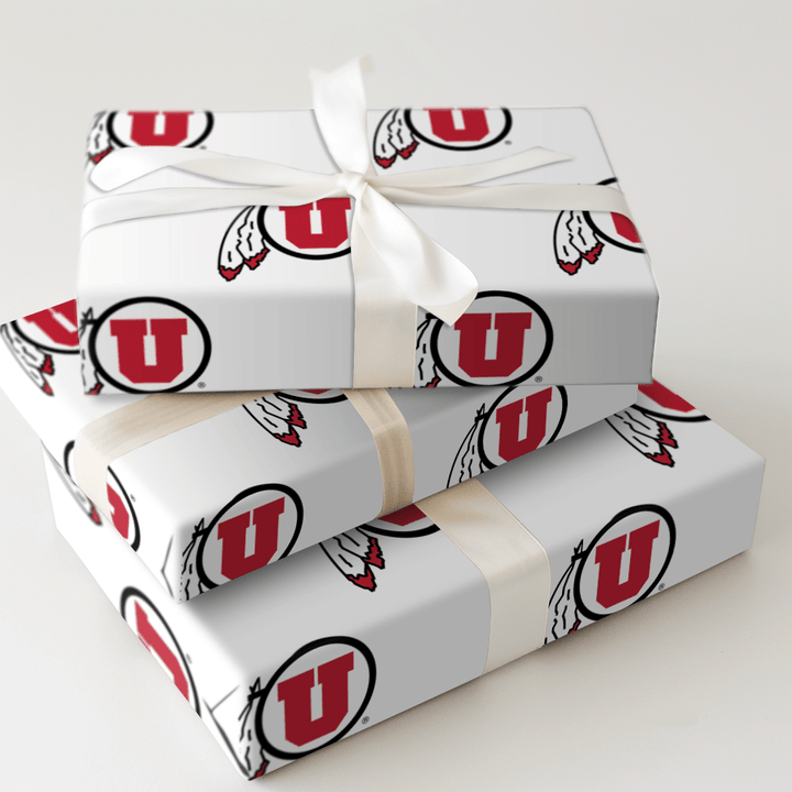 Feathered Pride - Wrapping Paper - Aspen & Arlo