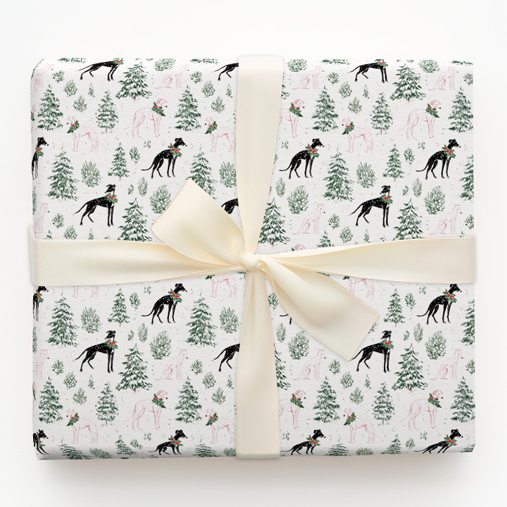 Whippet Wonderland