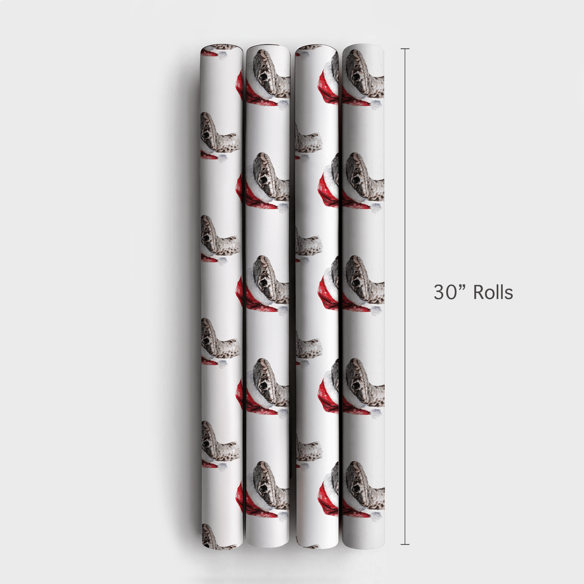 Snakes on a Sleigh - Wrapping Paper - Aspen & Arlo