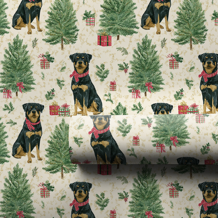 Rottweiler & Evergreens