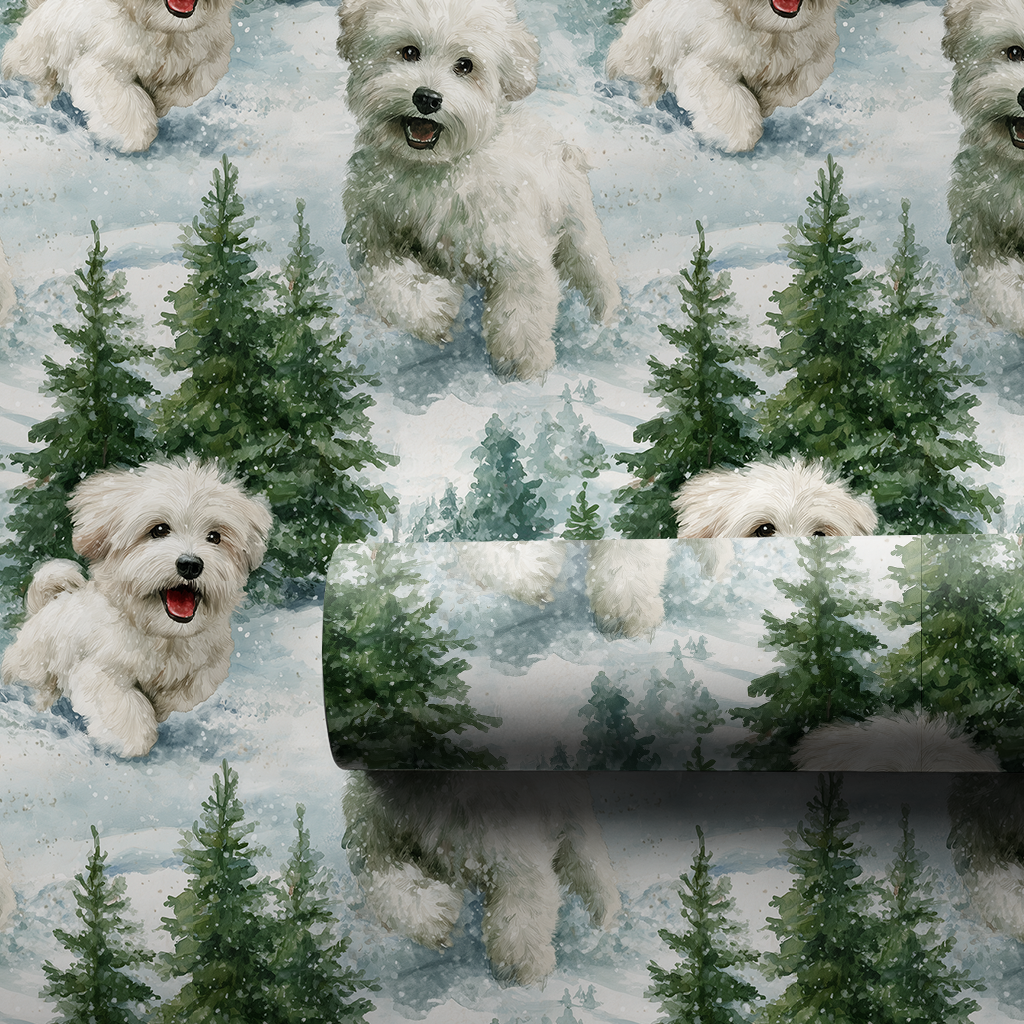 Snow Day for the Coton de Tulear