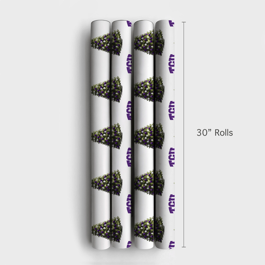 Frog - Filled Fir - Wrapping Paper - Aspen & Arlo