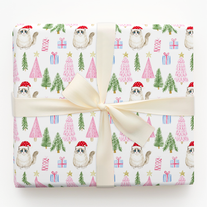 Ragdoll at Christmas