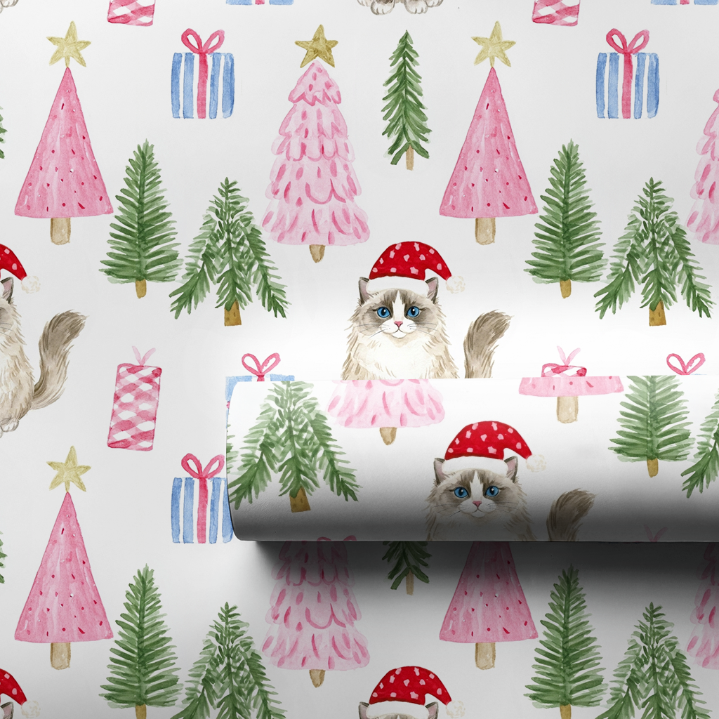 Ragdoll at Christmas