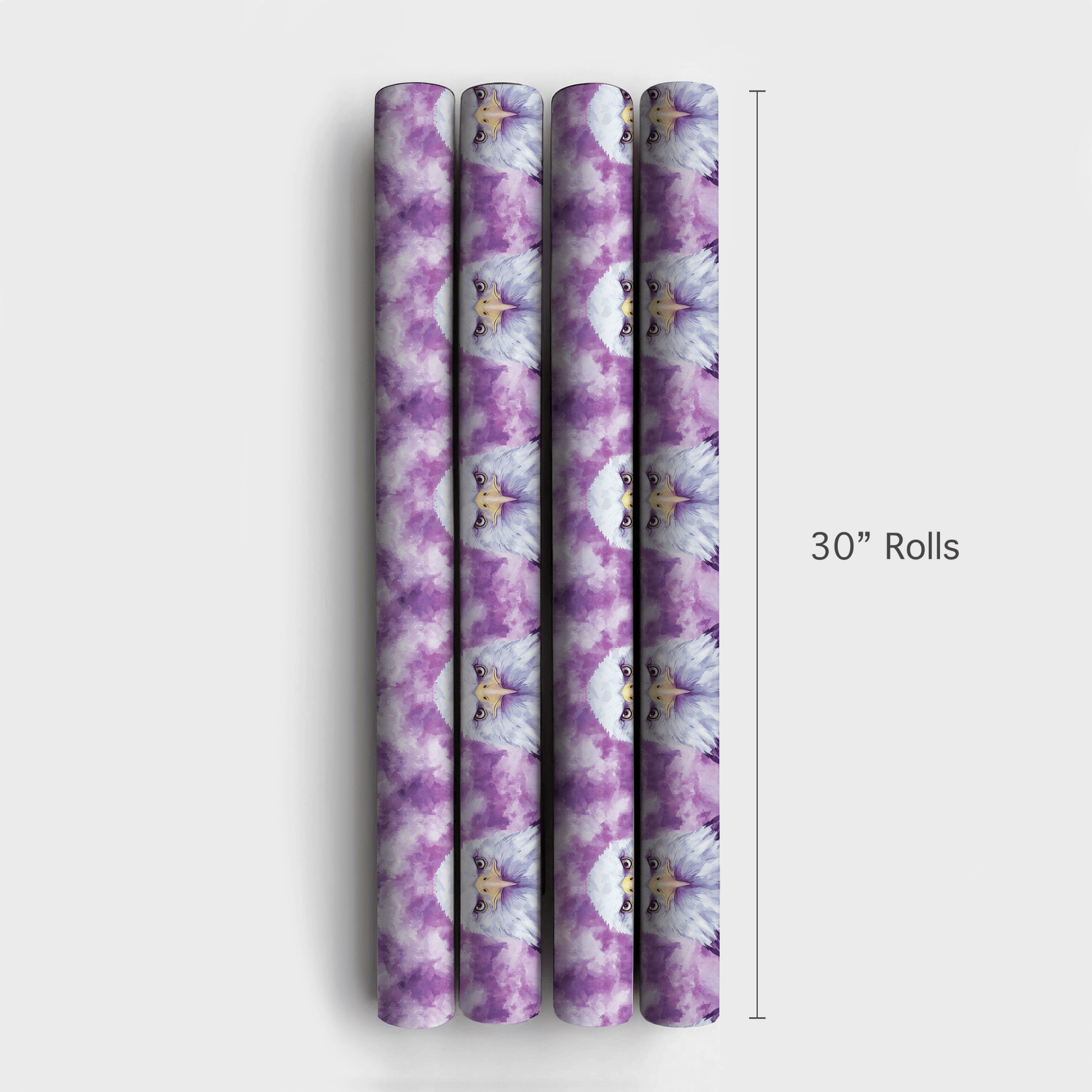 Eagle Brace - Wrapping Paper - Aspen & Arlo