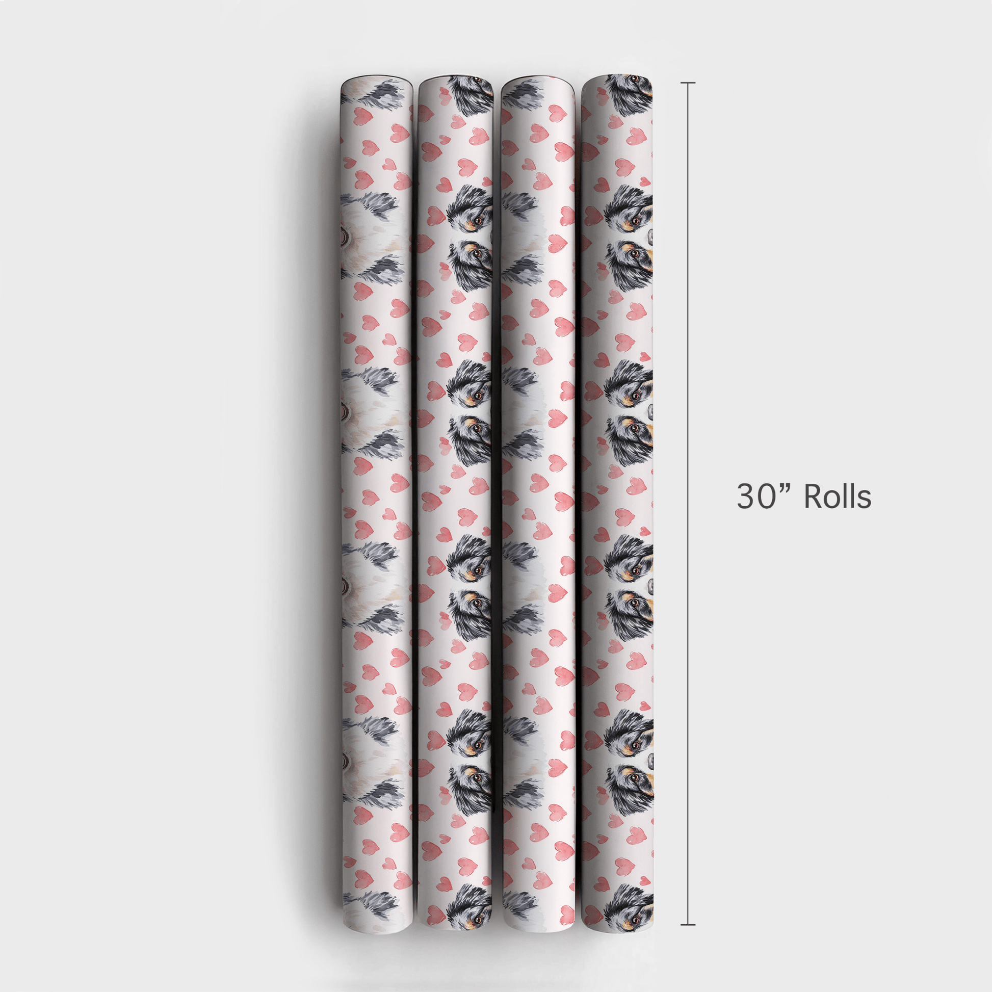 Australian Shepherd Valentine - Wrapping Paper - Aspen & Arlo