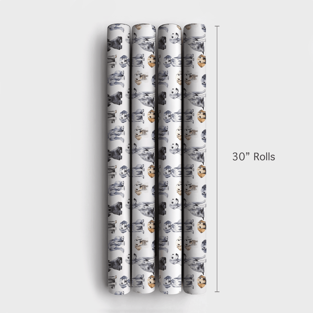 Weimaraner - Wrapping Paper - Aspen & Arlo