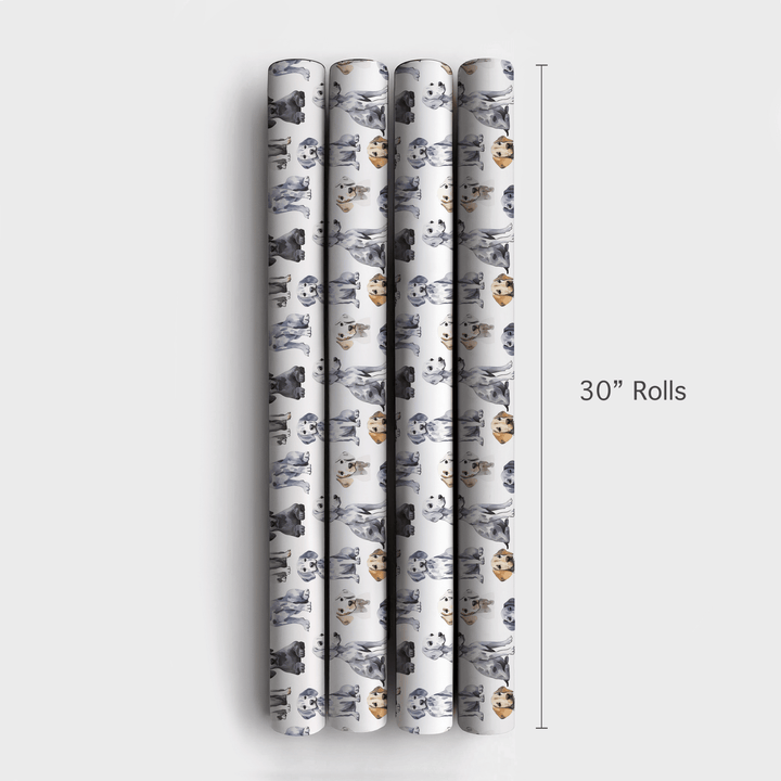 Weimaraner - Wrapping Paper - Aspen & Arlo