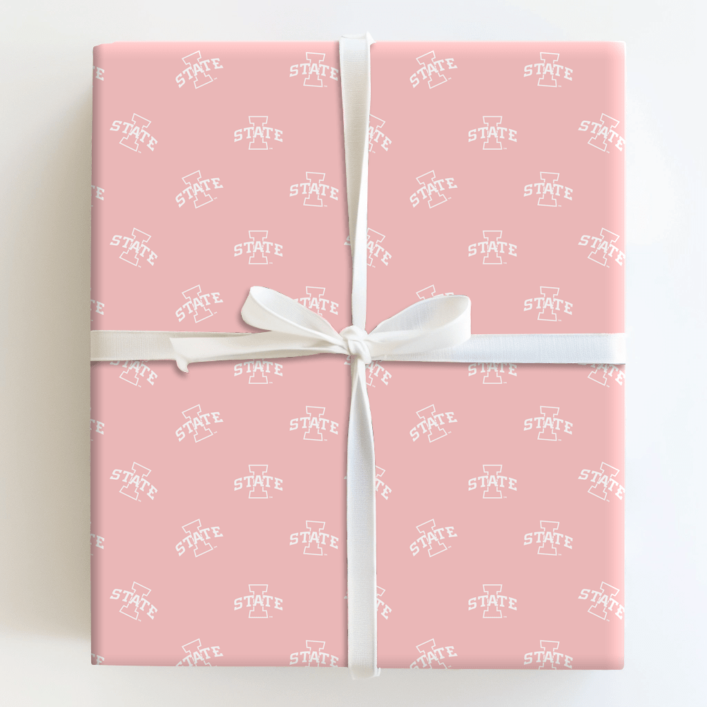 Tiny Cyclone - Wrapping Paper - Aspen & Arlo