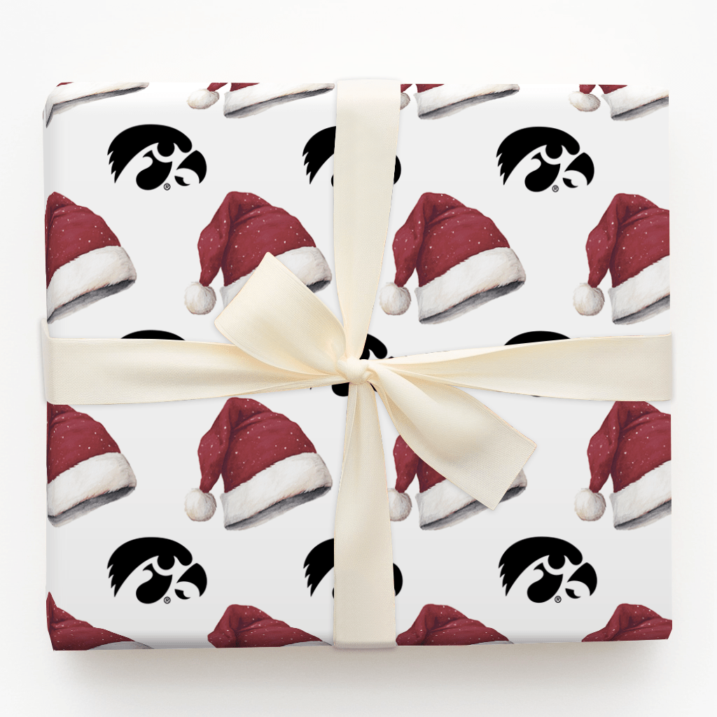 Jingle Hawks - Wrapping Paper - Aspen & Arlo