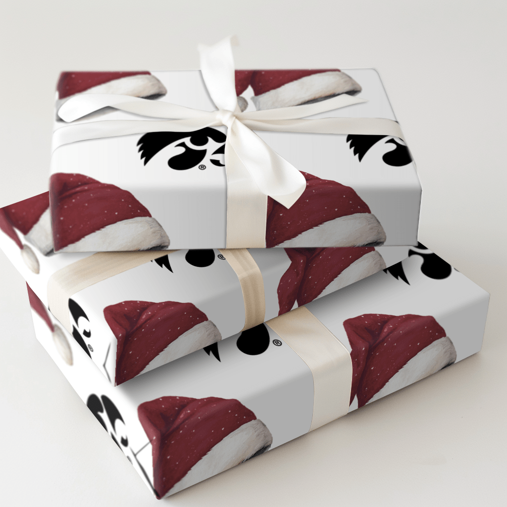 Jingle Hawks - Wrapping Paper - Aspen & Arlo