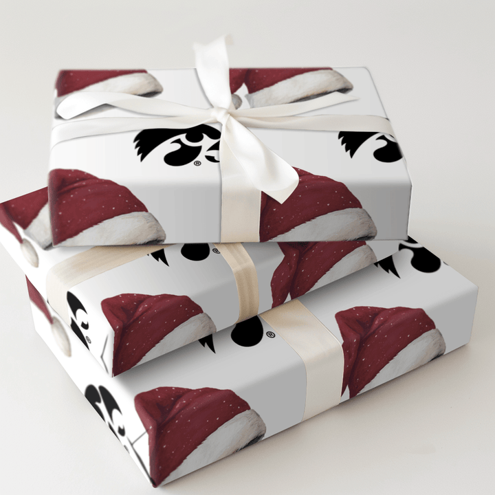 Jingle Hawks - Wrapping Paper - Aspen & Arlo