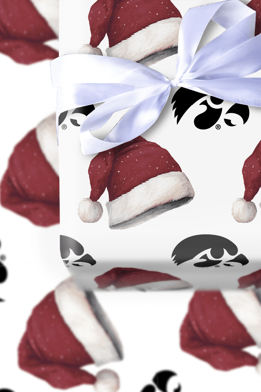 Jingle Hawks - Wrapping Paper - Aspen & Arlo